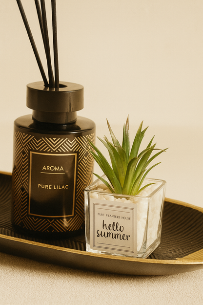 Çubuklu Koku Mum Tepsi Dekorasyon Seti SHN-2056