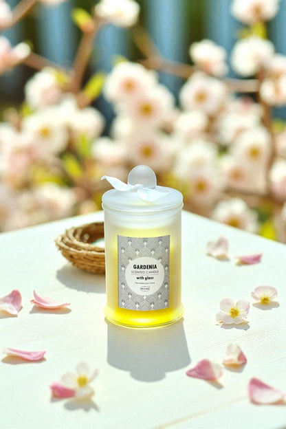 Buz Camlı Kokulu Dekoratif Mum SHN-2002