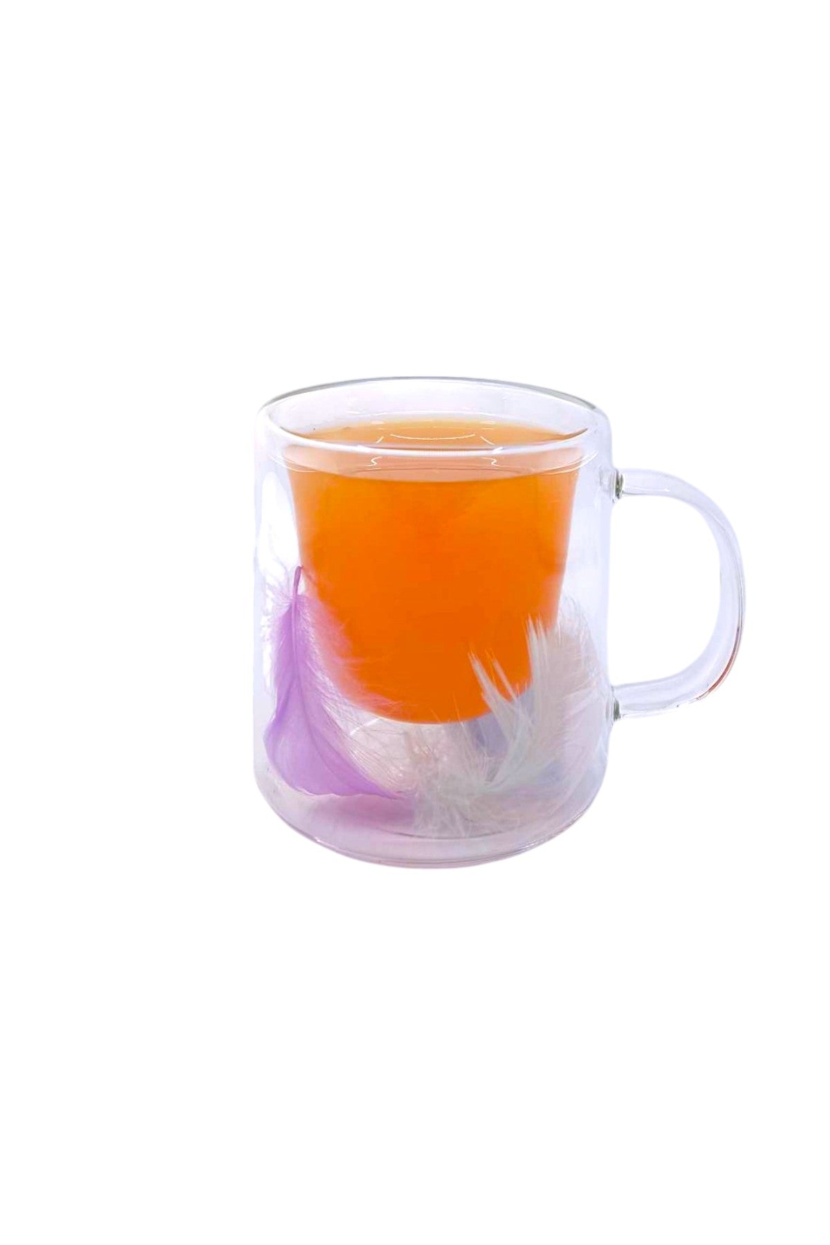 Çift Cidarlı Borosilikat 250ML Tüy Figürlü Bardak Kupa KW-377D